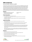 DNA sentences How are proteins coded for by DNA?