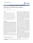 Trade-offs in cavefish sensory capacity | BMC Biology | Full Text