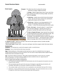 Forest Exploration – Student Data Sheet