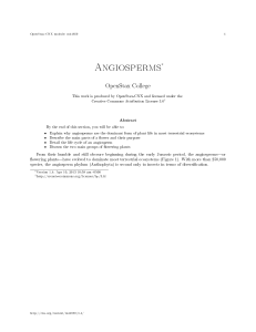 Angiosperms - OpenStax CNX