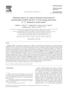 Reduced reactive O2 species formation and preserved