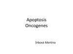 Apoptosis Oncogenes