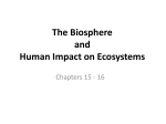 Biosphere lecture notes