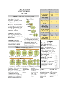 Unit 6 - Cell Cycle fact sheet.pub