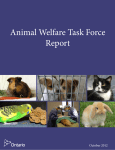 Animal Welfare Task Force Report