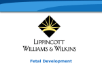 Fetal Development - Ukiah Adult School