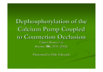 Dephosphorylation of the Calcium Pump Coupled to Counterion
