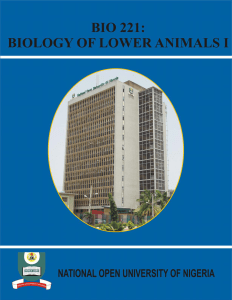 BIO 221 Biology of Lower Animals 1
