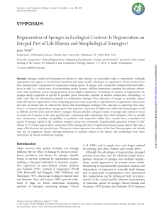 Regeneration of Sponges in Ecological Context: Is Regeneration an
