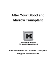 After Your Blood and Marrow Transplant