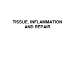 tissue, inflammation and repair