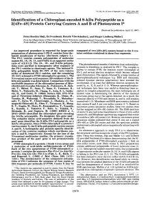 Identification of a Chloroplast-encoded 9-kDa