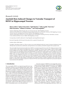 Amyloid-Beta Induced Changes in Vesicular Transport of BDNF in