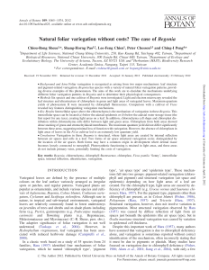 Natural foliar variegation without costs? The case of Begonia