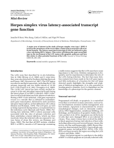 Herpes simplex virus latency-associated transcript gene function