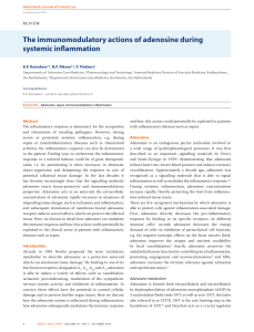 The immunomodulatory actions of adenosine during systemic
