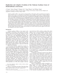 Duplication and Adaptive Evolution of the Chalcone