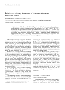 Isolation of a Strong Suppressor of Nonsense Mutations in Bacillus