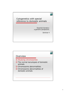 Cytogenetics with special reference to domestic animals