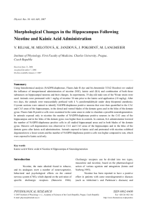 Morphological Changes in the Hippocampus Following Nicotine and
