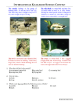 international kanga national kangaroo science contest nce contest