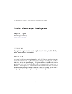 Models of retinotopic development - damtp