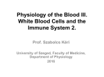 Physiology of the Blood III. White Blood Cells and the Immune