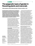 The epigenetic basis of gender in flowering plants and mammals