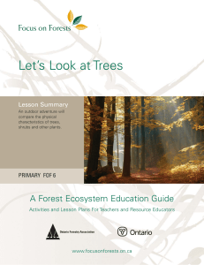 let`s look at trees