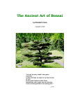 The Ancient Art of Bonsai-edited2006