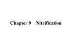 Chapter 9 Nitrification