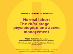 Normal Labor – the third stage