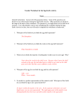 Teacher Worksheet for the Egg Earth Activity