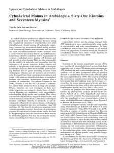 Cytoskeletal Motors in Arabidopsis. Sixty