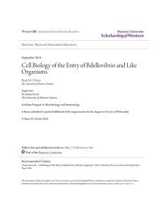 Cell Biology of the Entry of Bdellovibrio and Like Organisms