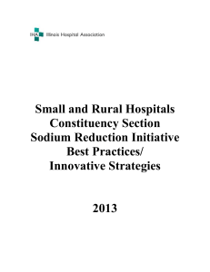 Small and Rural Hospitals Constituency Section Sodium Reduction