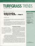Understanding Türfgrass Roots Parti