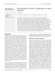 From genomes to function: haloarchaea as model organisms