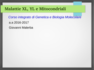 Malattie XL, YL e Mitocondriali