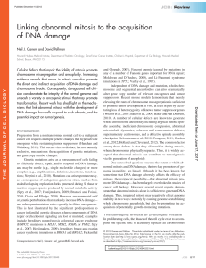 Linking abnormal mitosis to the acquisition of DNA damage