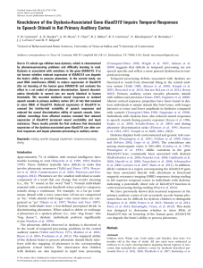 Knockdown of the Dyslexia-Associated Gene