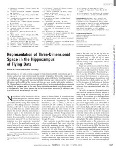 found that in flight, 3D hippocampal place cells had nearly spherical