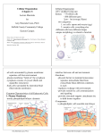 Cellular Organization (Chapter 3) Lecture Materials for Amy