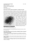 Two Postdoctoral Research Positions Dec 7, 2016 Matthias Fischer