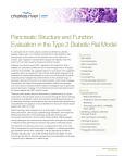 Pancreatic Structure and Function Evaluation in Type 2 Diabetic Rat