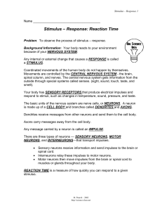 Stimulus – Response: Reaction Time - Science