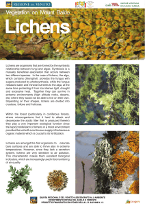 Lichens are organisms that are formed by the