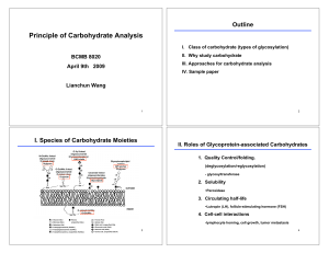 Carbo analysis 040909