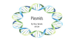 Plasmids - winterk