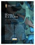 signals in a storm - Columbia University